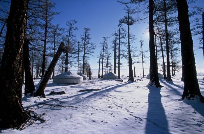 Winter magic in the Khenti Mountains