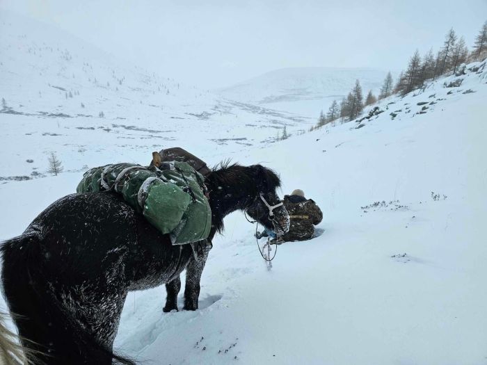 Winter magic in the Khenti Mountains