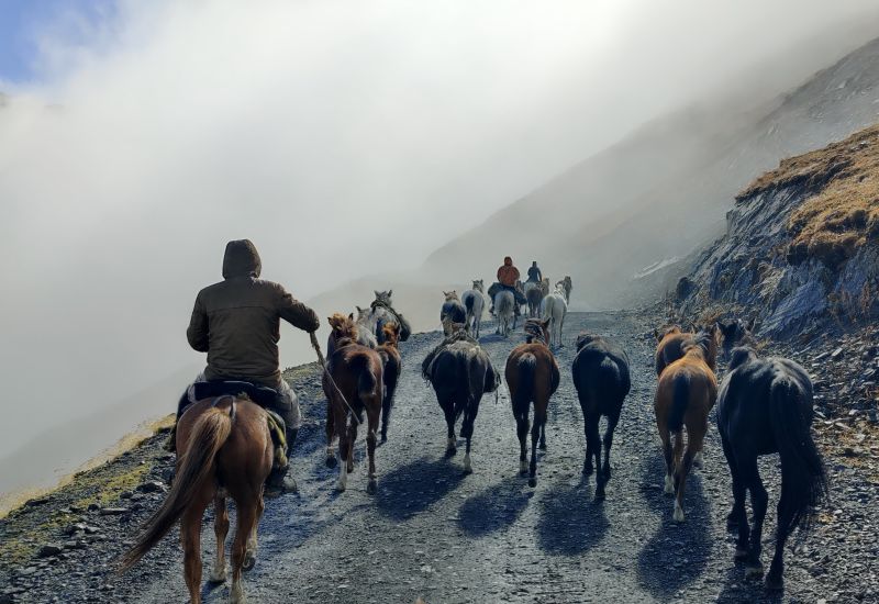 Caucasus Trail