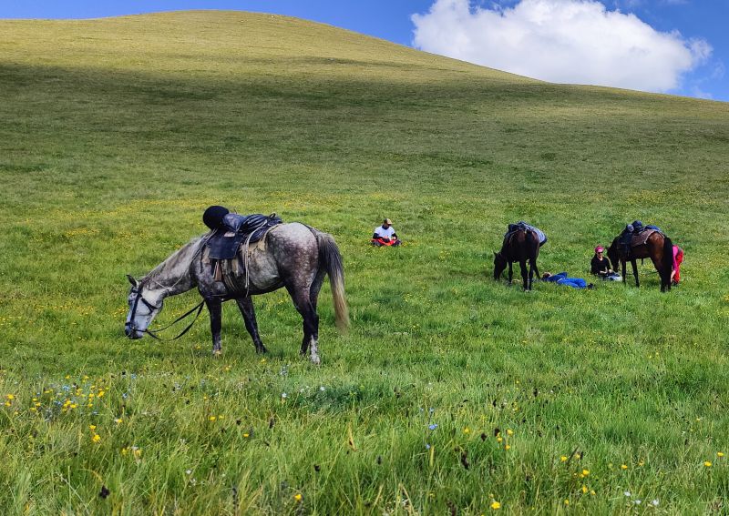 Caucasus Trail