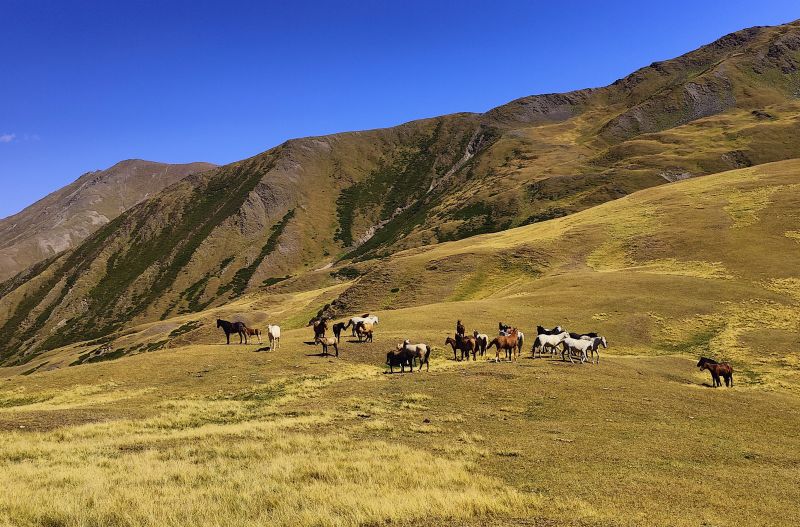 Caucasus Trail
