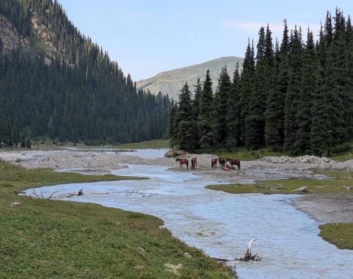 Kirgistan glacier tours