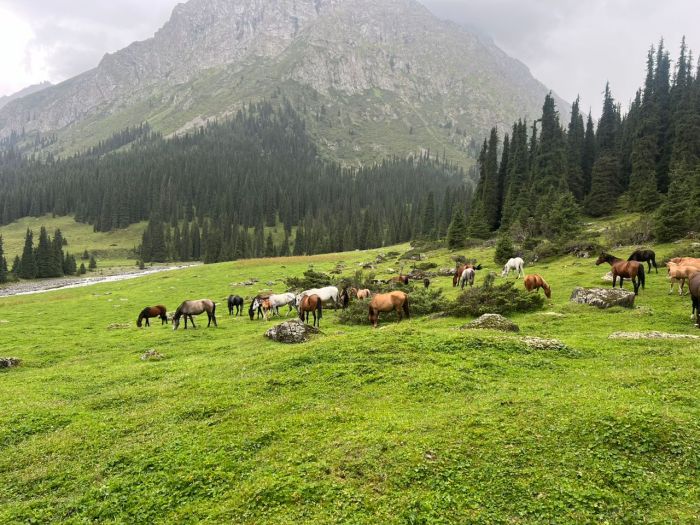 Kirgistan glacier tours
