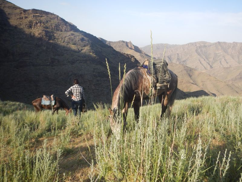 Silk Road Trail in Uzbekistan