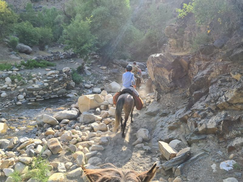 Silk Road Trail in Uzbekistan