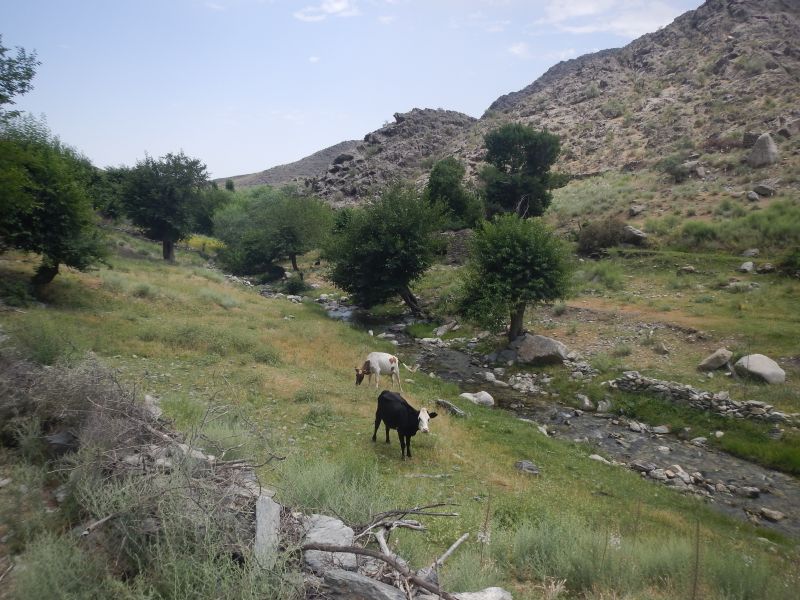 Silk Road Trail in Uzbekistan