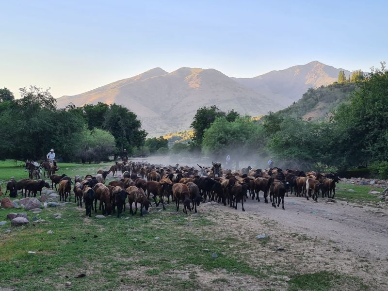 Silk Road Trail in Uzbekistan