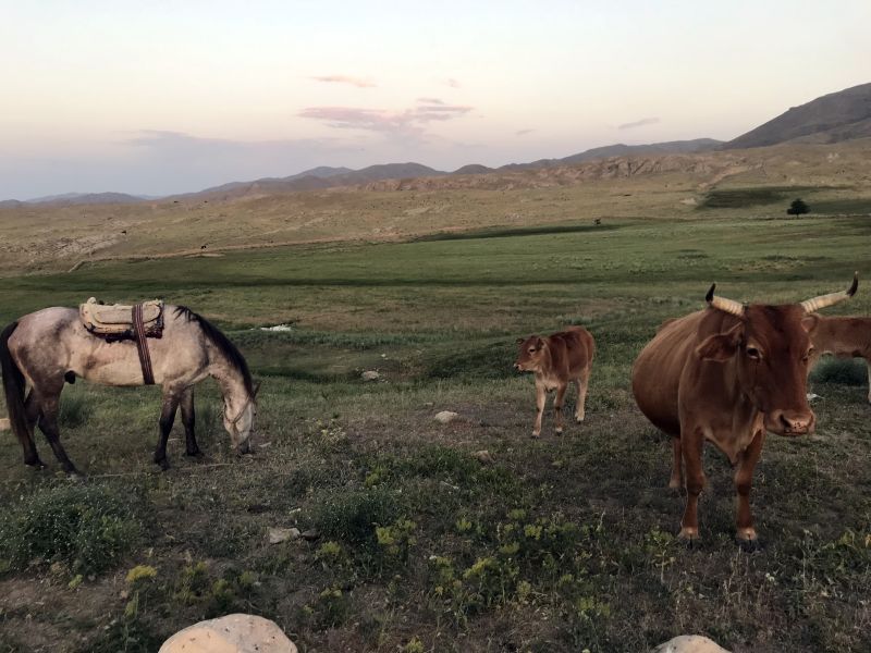 Silk Road Trail in Uzbekistan