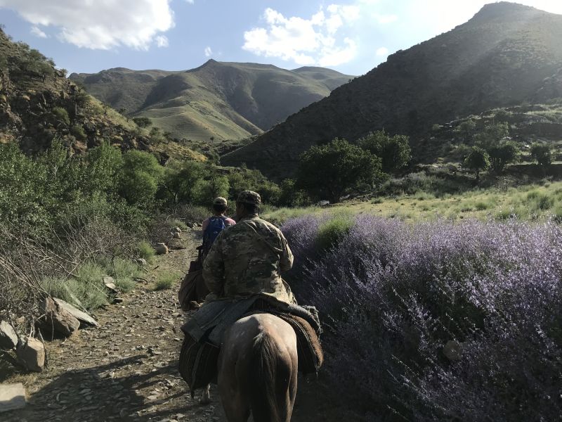 Silk Road Trail in Uzbekistan
