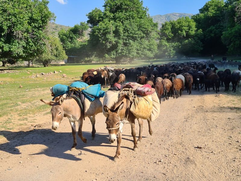 Silk Road Trail in Uzbekistan