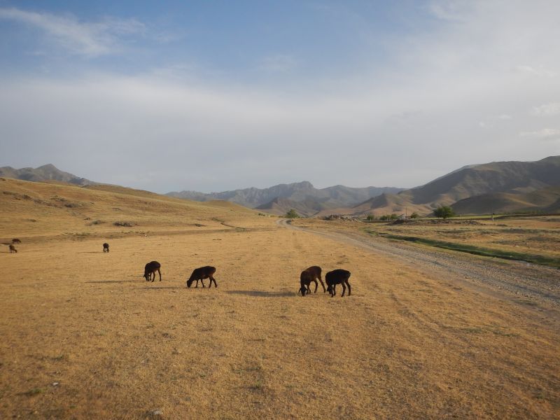 Silk Road Trail in Uzbekistan