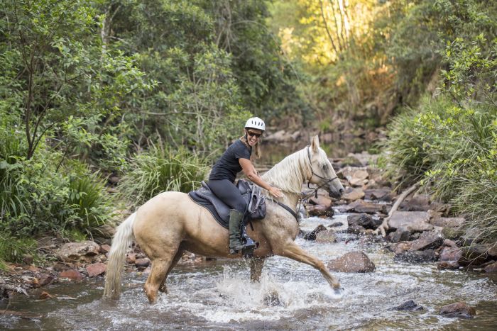 Comboyne plateau and beach ride
