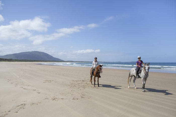 Comboyne plateau and beach ride
