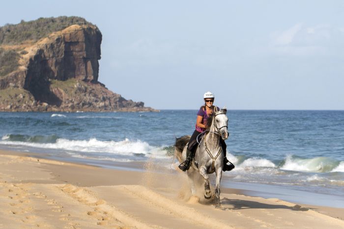 Comboyne plateau and beach ride