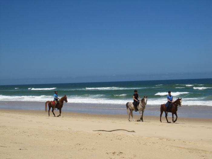 Comboyne plateau and beach ride
