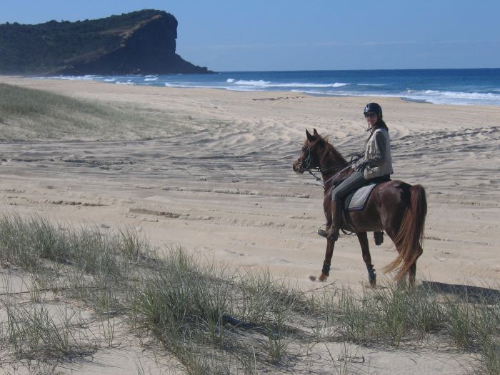 Comboyne plateau and beach ride