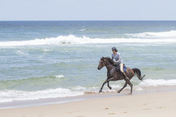 Comboyne plateau and beach ride