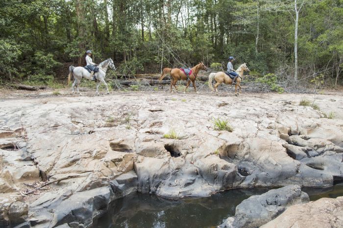 Comboyne plateau and beach ride
