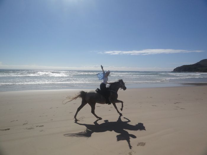 Comboyne plateau and beach ride