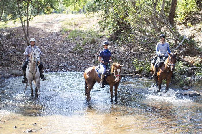 Comboyne plateau and beach ride