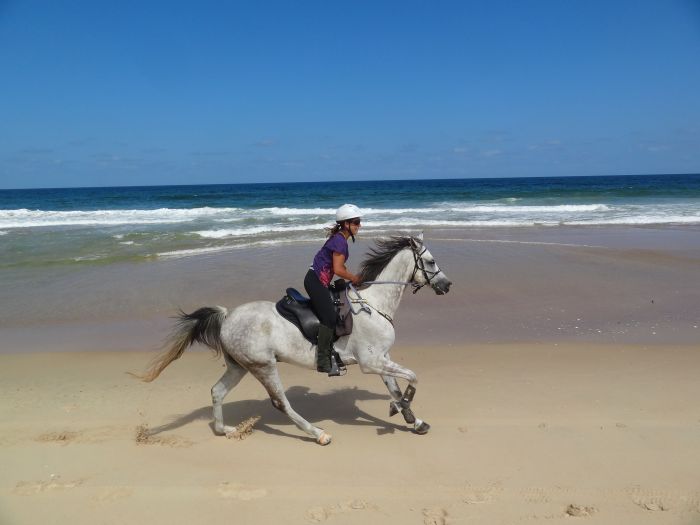 Comboyne plateau and beach ride
