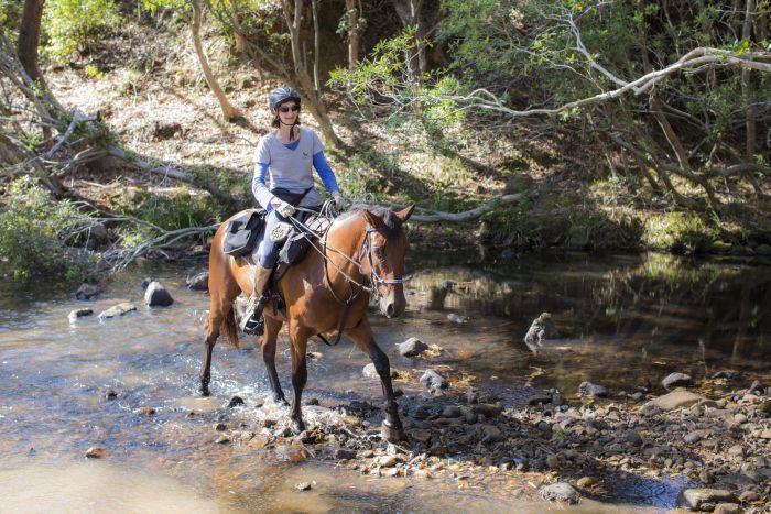 Comboyne plateau and beach ride