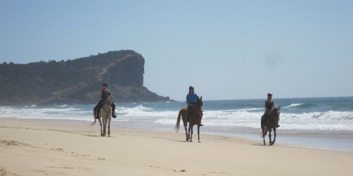 Comboyne plateau and beach ride