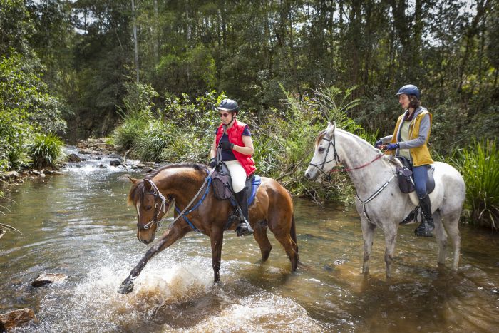 Comboyne plateau and beach ride