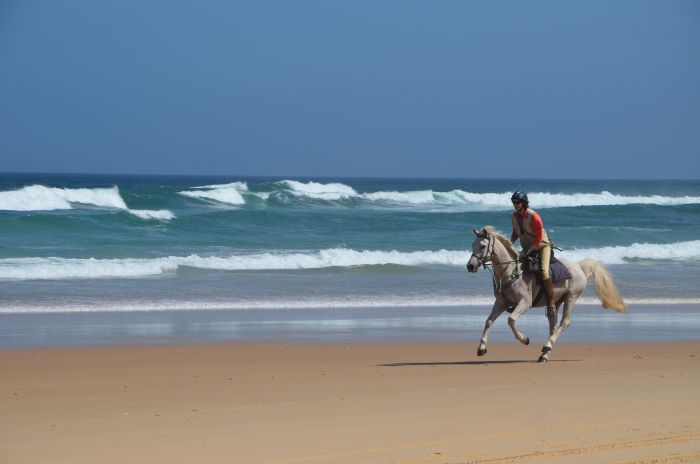 Comboyne plateau and beach ride