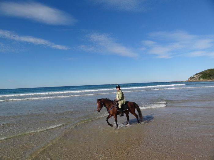 Comboyne plateau and beach ride