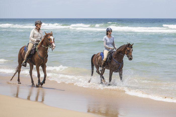 Comboyne plateau and beach ride