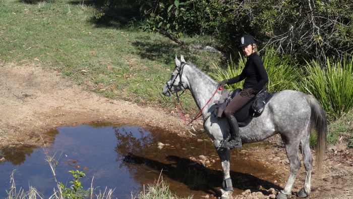 Comboyne plateau and beach ride