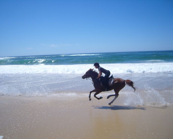 Comboyne plateau and beach ride