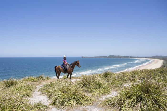 Comboyne plateau and beach ride