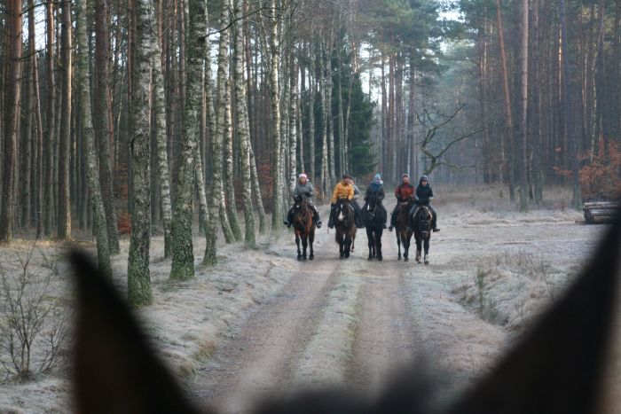 Star rides in West Pomerania