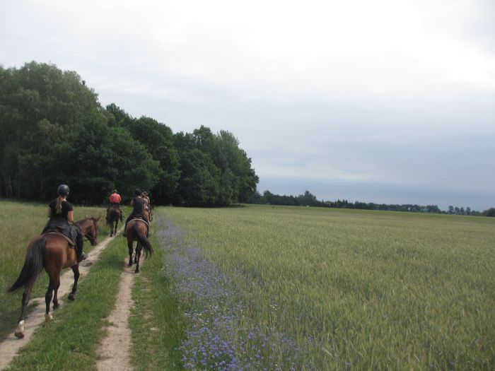 Star rides in West Pomerania