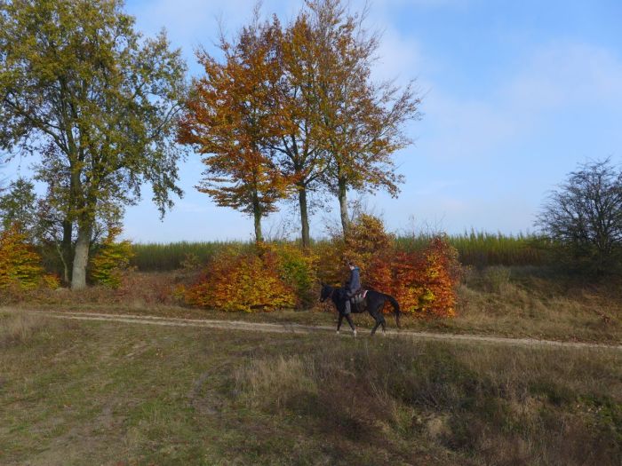 Star rides in West Pomerania