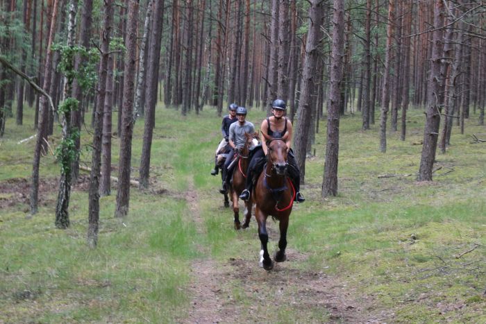 Star rides in West Pomerania