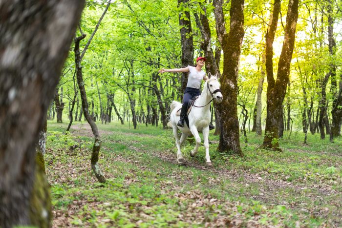 Riding holiday in Herzegovina