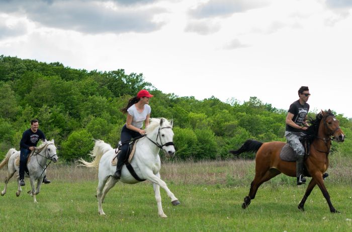 Riding holiday in Herzegovina