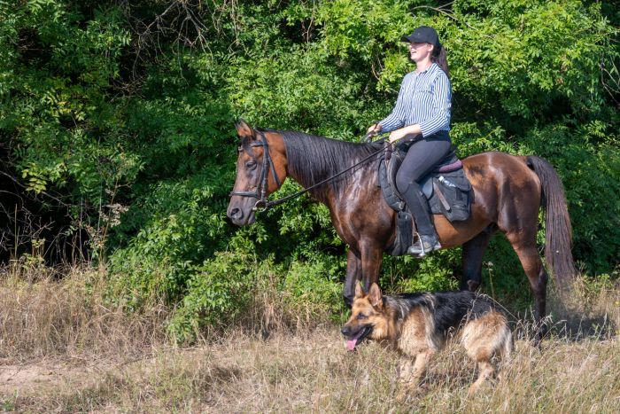 Riding holiday in Herzegovina