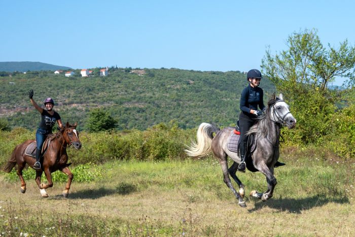 Riding holiday in Herzegovina