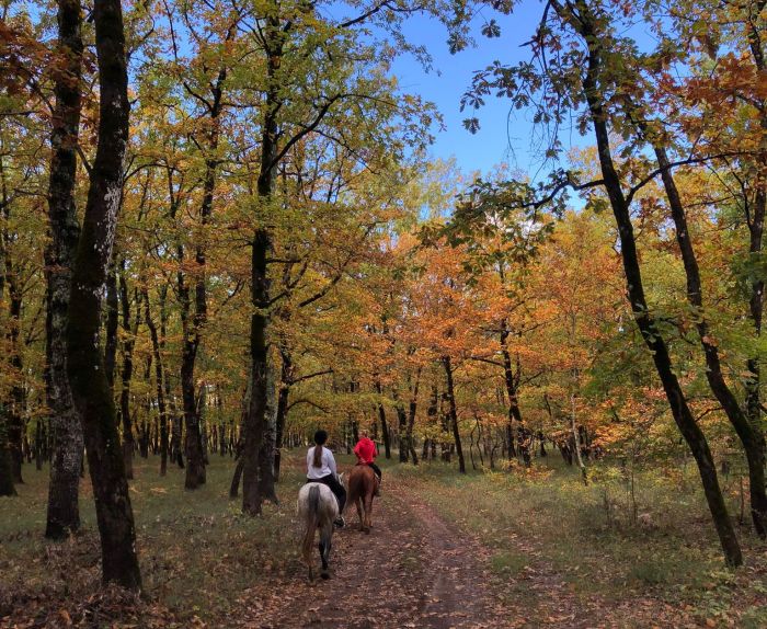 Riding holiday in Herzegovina