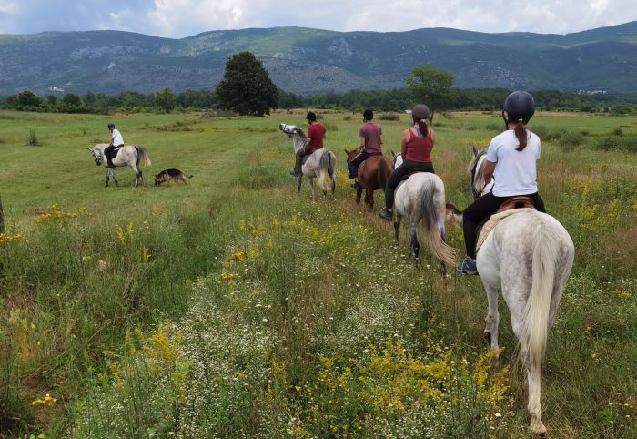 Riding holiday in Herzegovina