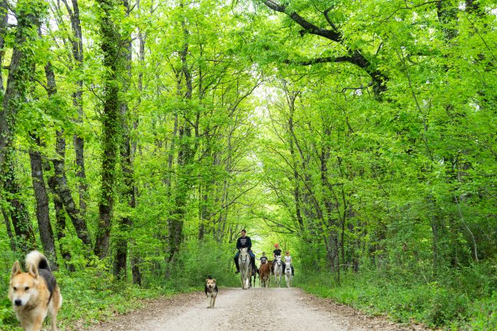 Riding holiday in Herzegovina