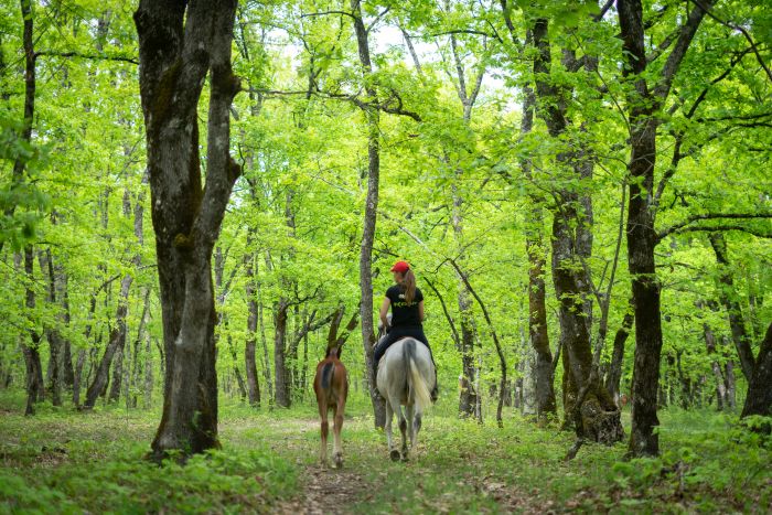 Riding holiday in Herzegovina
