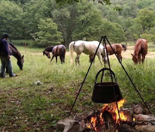 Riding holiday in Herzegovina