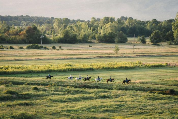 Riding holiday in Herzegovina