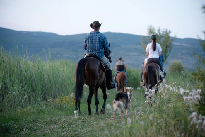 Riding holiday in Herzegovina