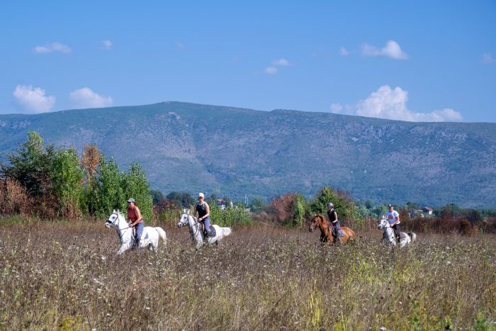 Riding holiday in Herzegovina